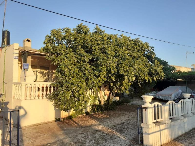 Srecko Apartman Rogoznica (Sibenik-Knin) Exterior foto
